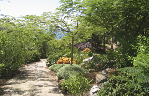 Fotografía de jardines del hotel Abama Guía de Isora, Tenerife