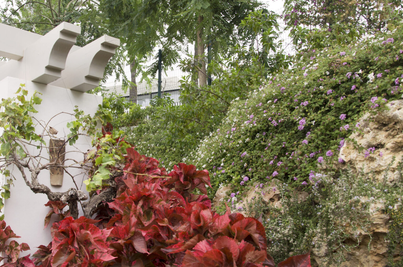 Jardín en villa particular en Marbella