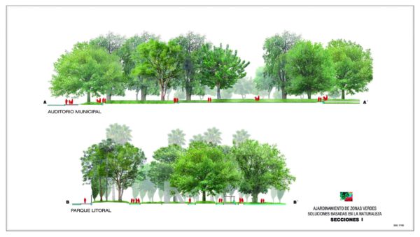 Sección de jardín con árboles