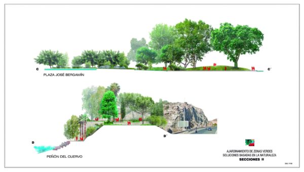 Sección de jardín con árboles