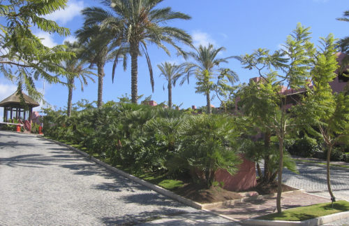 Fotografía de jardines del hotel Abama Guía de Isora, Tenerife