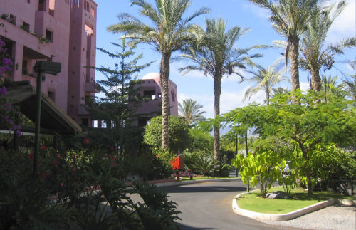 Fotografía de jardines del hotel Abama Guía de Isora, Tenerife