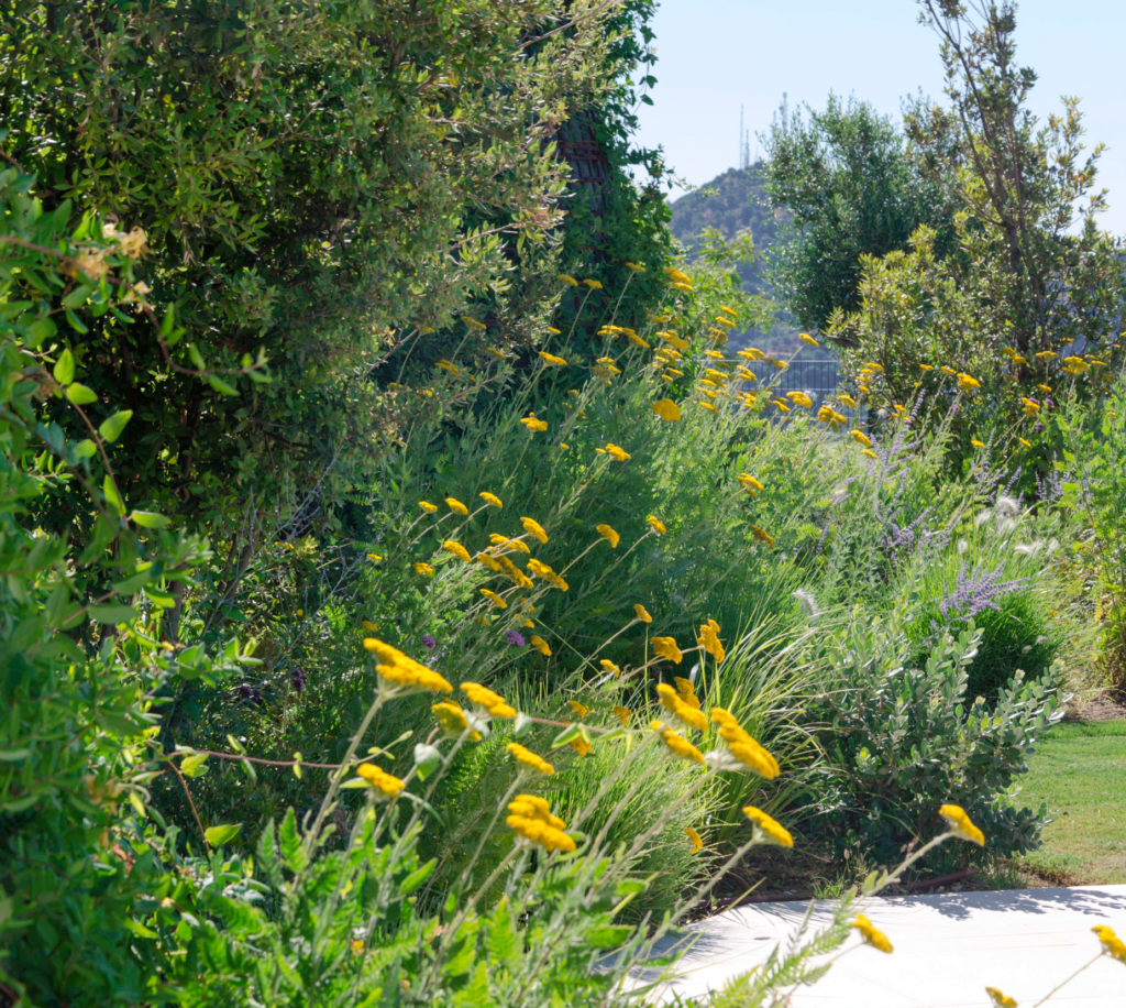 Jardín mediterráneo en Palo Alto Marbella