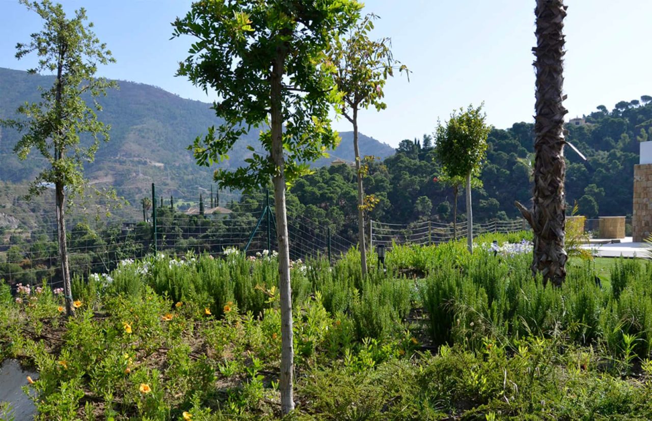 Jardín en vivienda unifamiliar Zagaleta