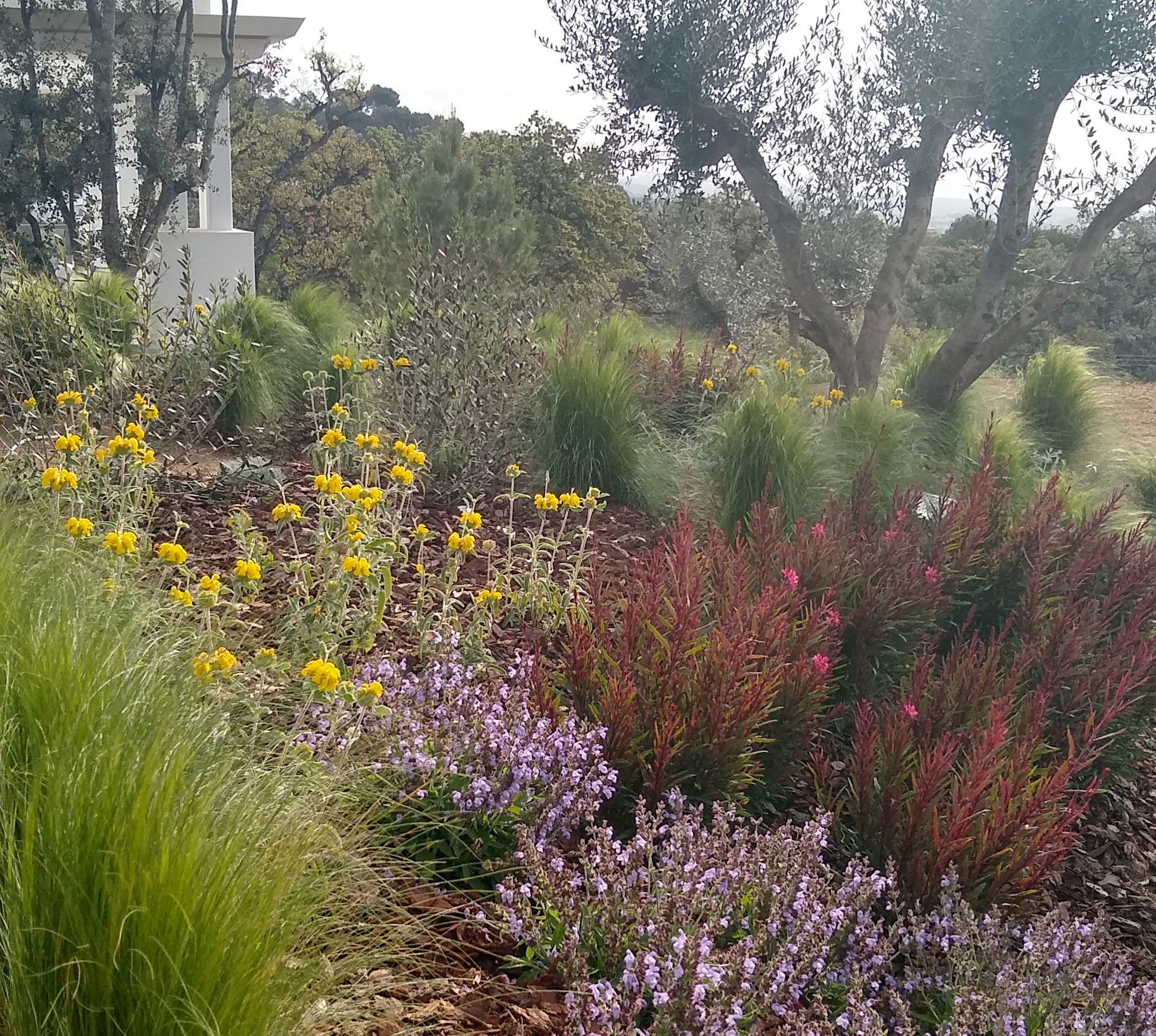 Jardines mediterráneos de villa en Camojan, Márbella