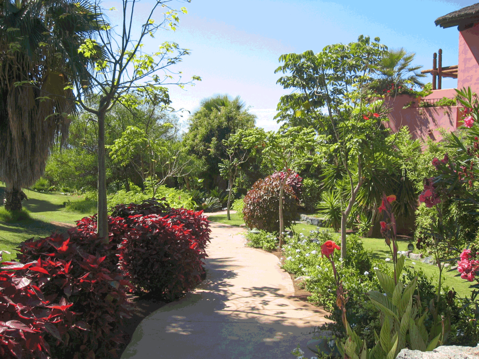 Hotel Guia de Isora. Jardín en el recorrido interior