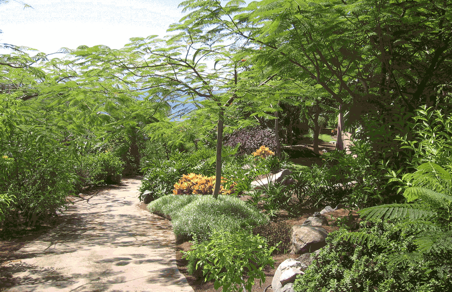 Hotel Guia de Isora. Jardín en el recorrido interior