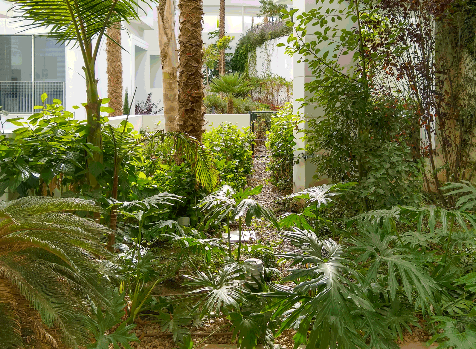 Jardín en urbanización Los Almendros