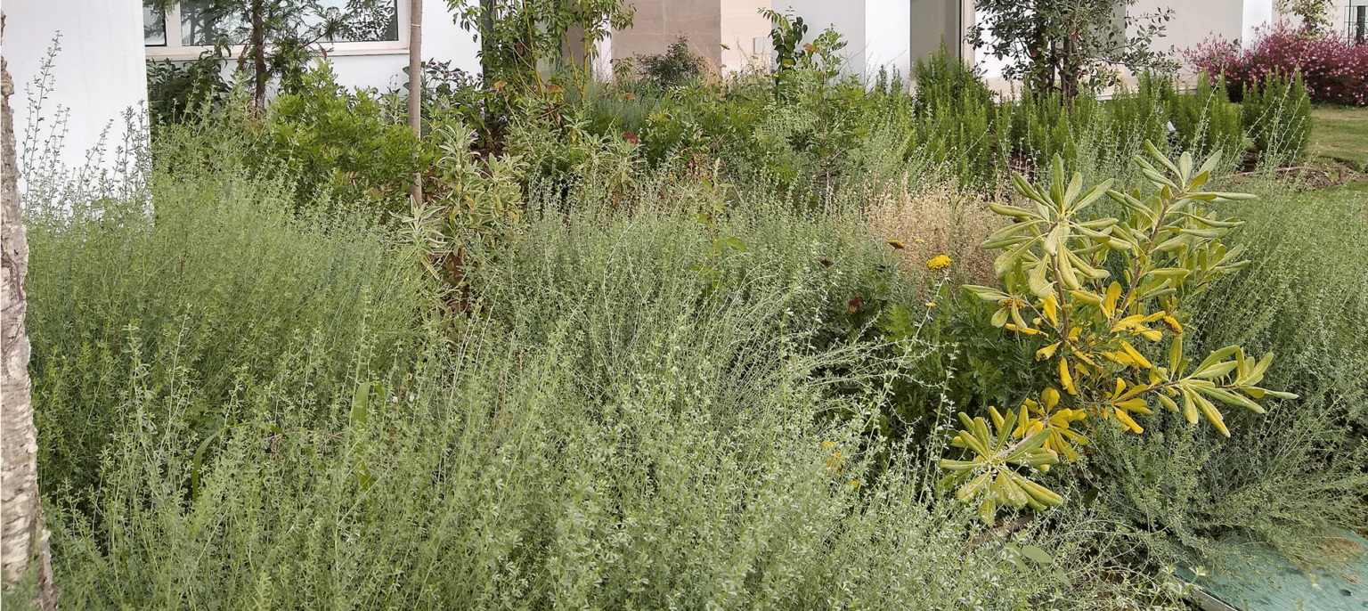 Jardín de estilo mediterráneo en Palo Alto