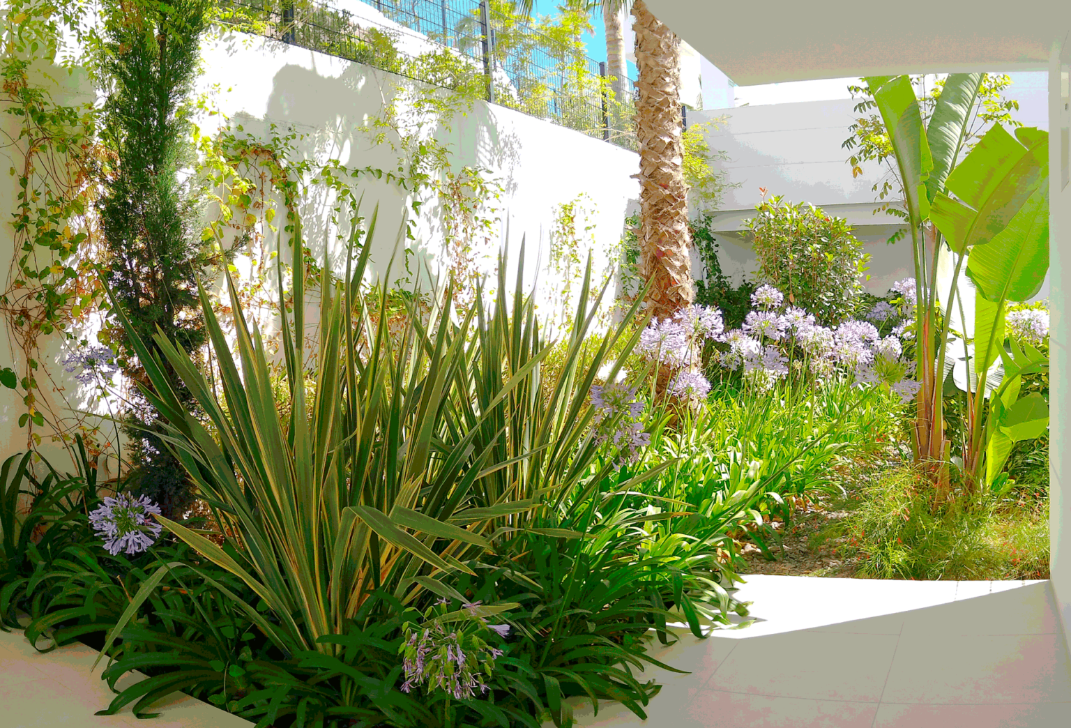 Jardines de la urbanización Los Almendros