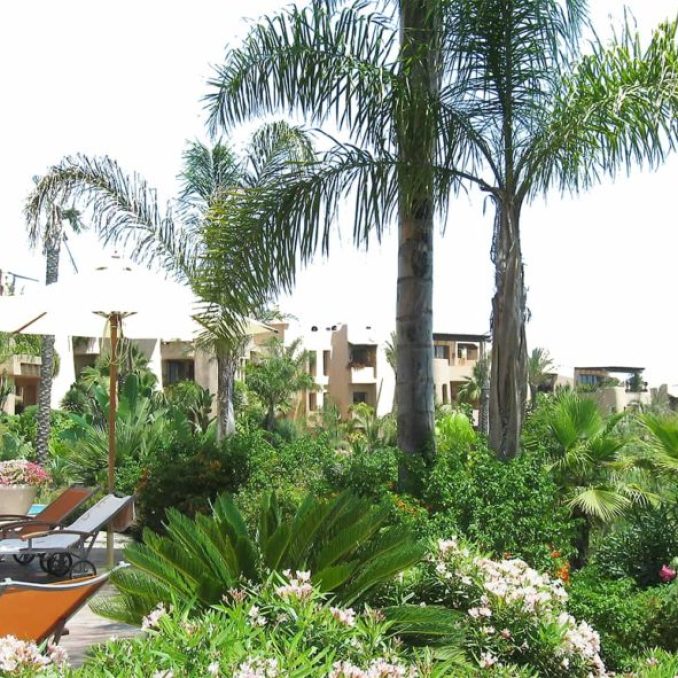 Jardines de la urbanización Mansión Club